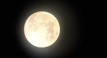 Lunární secí kalendář výsadeb zahradníka na srpen 2022